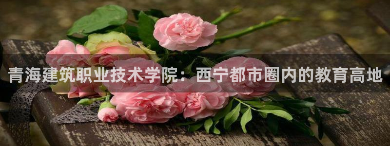 谈球吧下载