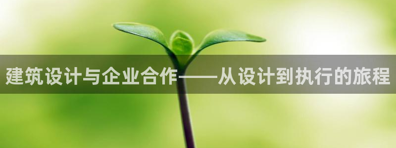谈球吧官网在线入口手机版下载