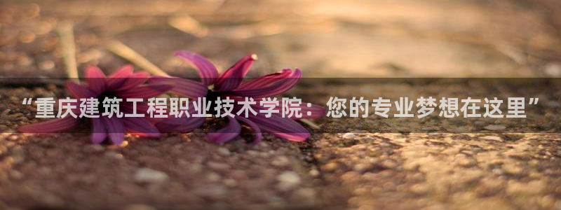 谈球吧app赛事分析