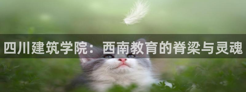 谈球吧电子