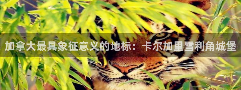 tqb谈球吧