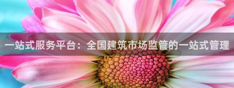 谈球吧黑款不
