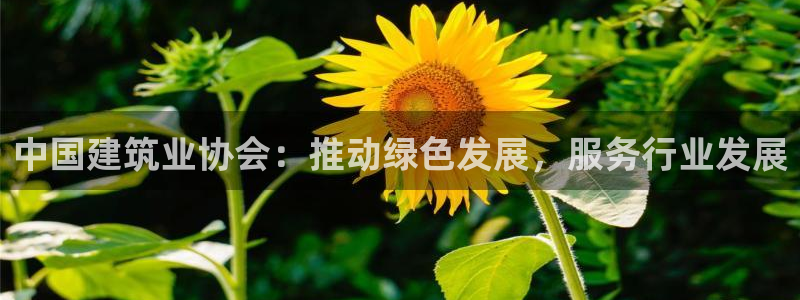谈球吧体育官方入口