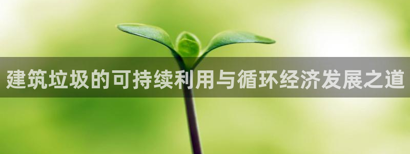 谈球吧可靠吗