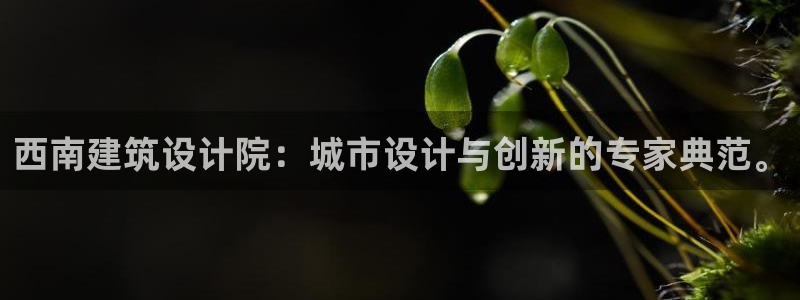 谈球吧全站app下载：西南建筑设计院：城市设计与创新的专家典范。