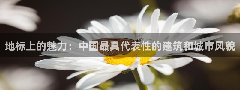 谈球吧是黑台子吗还是白台子好：地标上的魅力：中国最具代表性的建筑和城市风貌