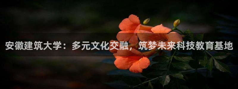 谈球吧体育app下载足球直播：安徽建筑大学：多元文化交融，筑梦未来科技教育基地