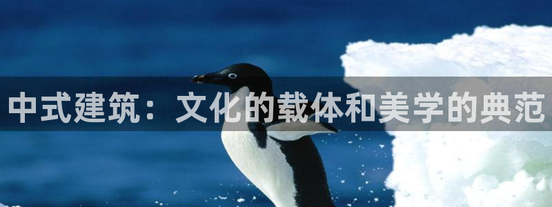 谈球吧算违法行为吗