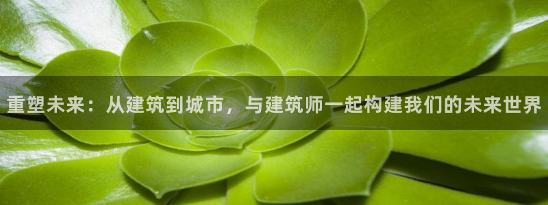 谈球吧官网app下载